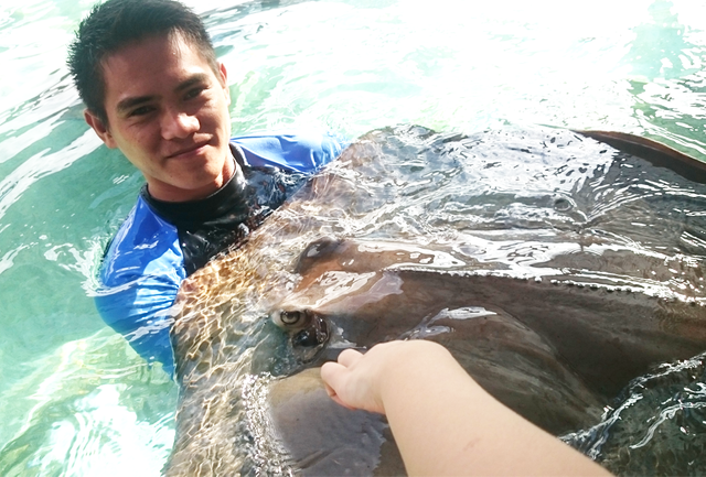manila ocean park sharys and rays dry encounter (1).png