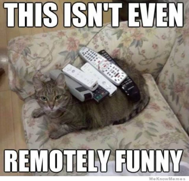 remote-cat.jpg