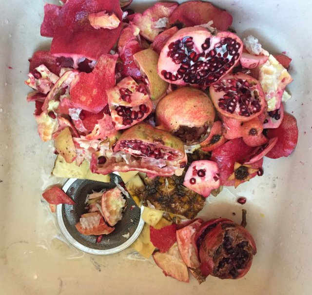 Pomegranate _waste.jpg