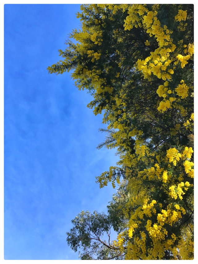 Snapseed.jpg
