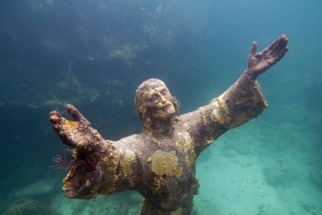 john pennekamp coral reef state park_topfactro.jpg