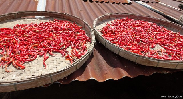 red hot chillies 2.jpg