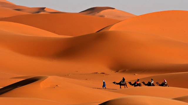caravan_desert_camels_sand_heat_way_26662_1920x1080.jpg