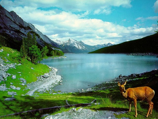 free-nature-wallpaper-1144848741_1024x768_mountain-and-lake-wallpaper-nature-wallpapers-download.jpg