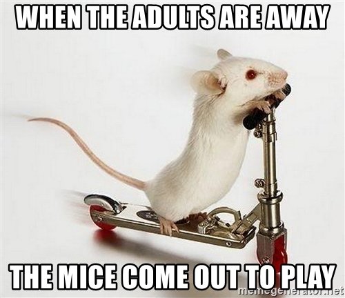when-the-adults-are-away-the-mice-come-out-to-play.jpg