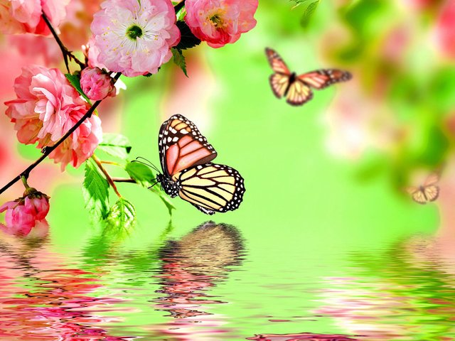 Pink-flowers-and-font-b-butterfly-b-font-DIY-Diamond-painting-font-b-scenery-b-font.jpg