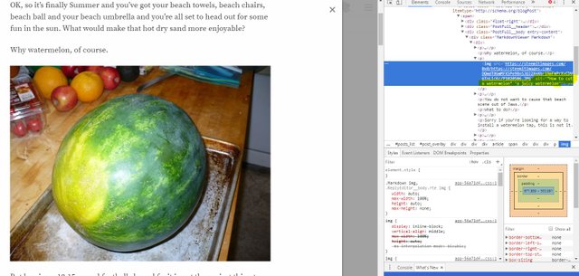 watermelon alt.JPG