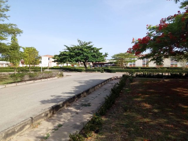 received_610508449292222.jpeg