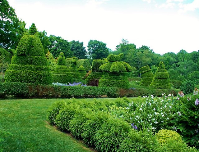 ladew-topiary-gardens-2072584_960_720.jpg