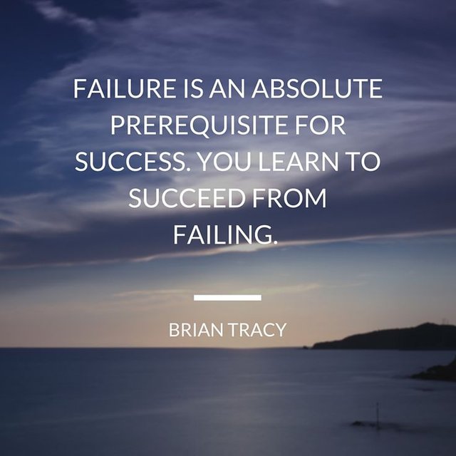 4f63e0d72b7b6dbbbc226cdebd6227c5--failure-quotes-successful-business.jpg