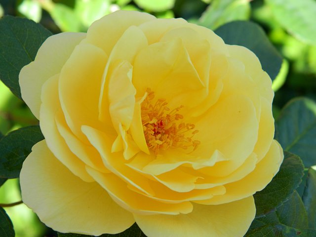 DSCN4830a.jpg