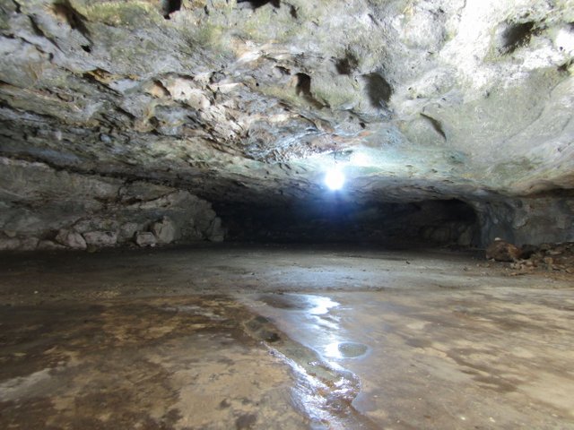 CavernaZambulaFondo.jpg