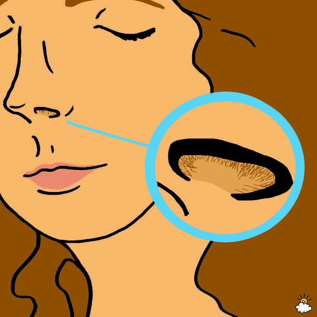 wax your nose hairs