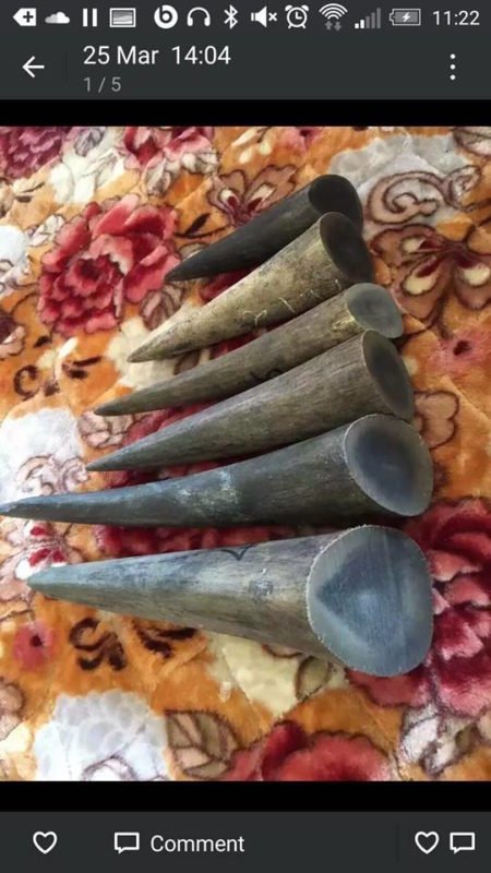 raw-rhino-horn-sold-via-wechat-450x800.jpeg