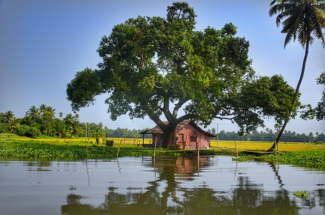 alleppey-3170776_1920.jpg