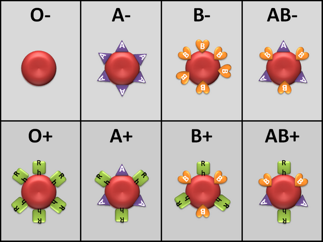 11-8_bloodtypes.png