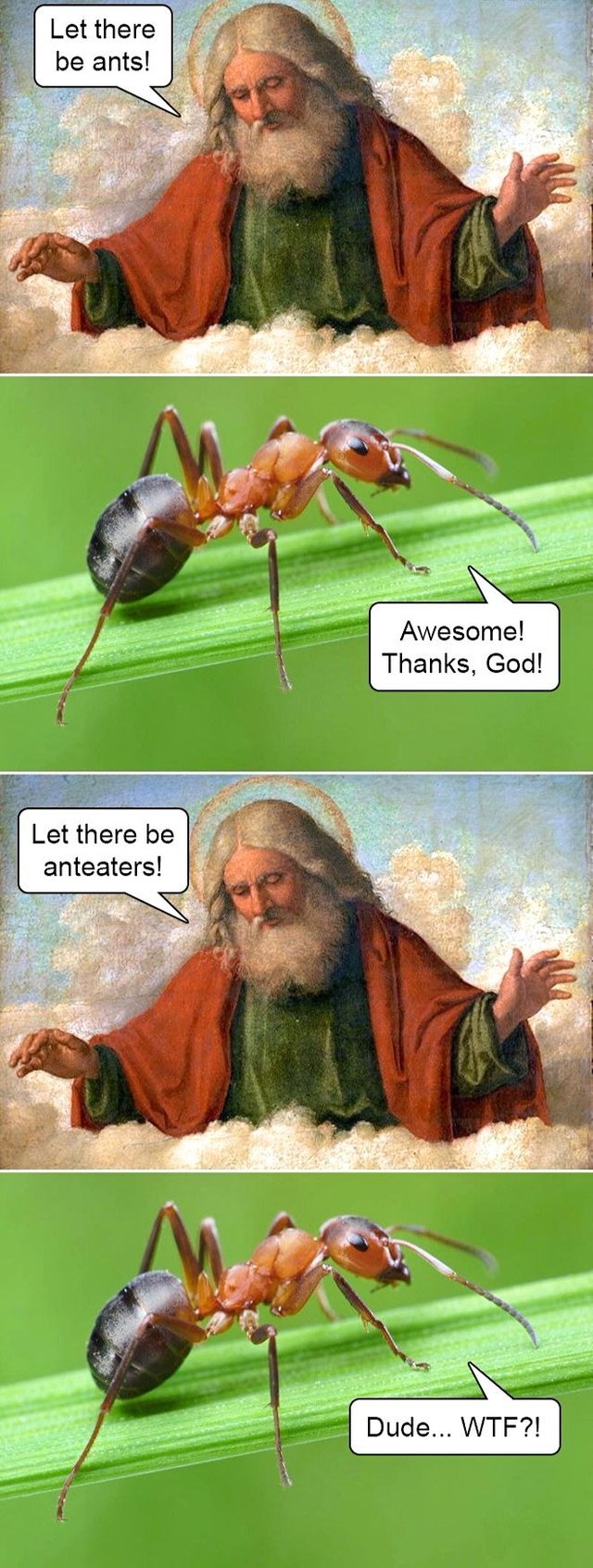 ant-eaters.jpg