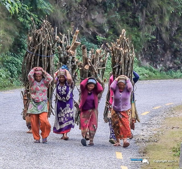Nepali women with firewood.jpg