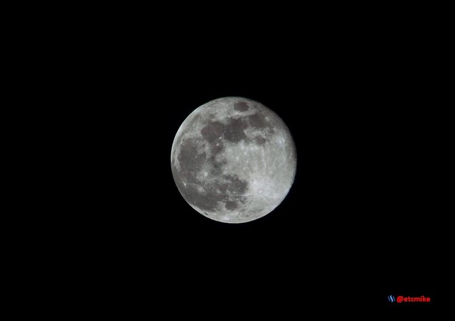 full moon PFW21-sa0064.JPG