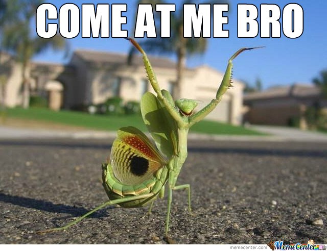 mantis.jpg