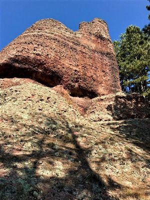 Belogradchik Trees 2 - PS Resized for Steemit.jpg