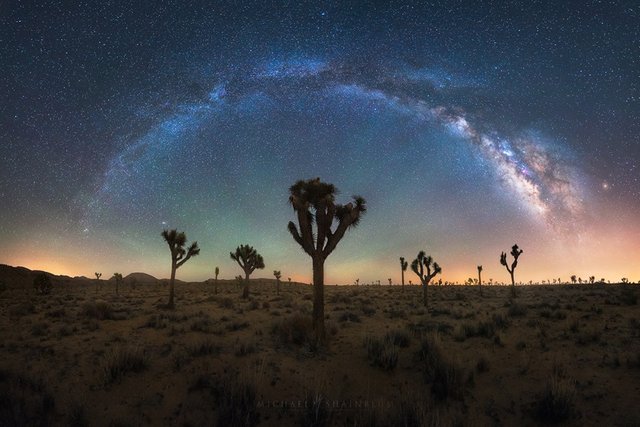 Joshua Tree National Park.jpg