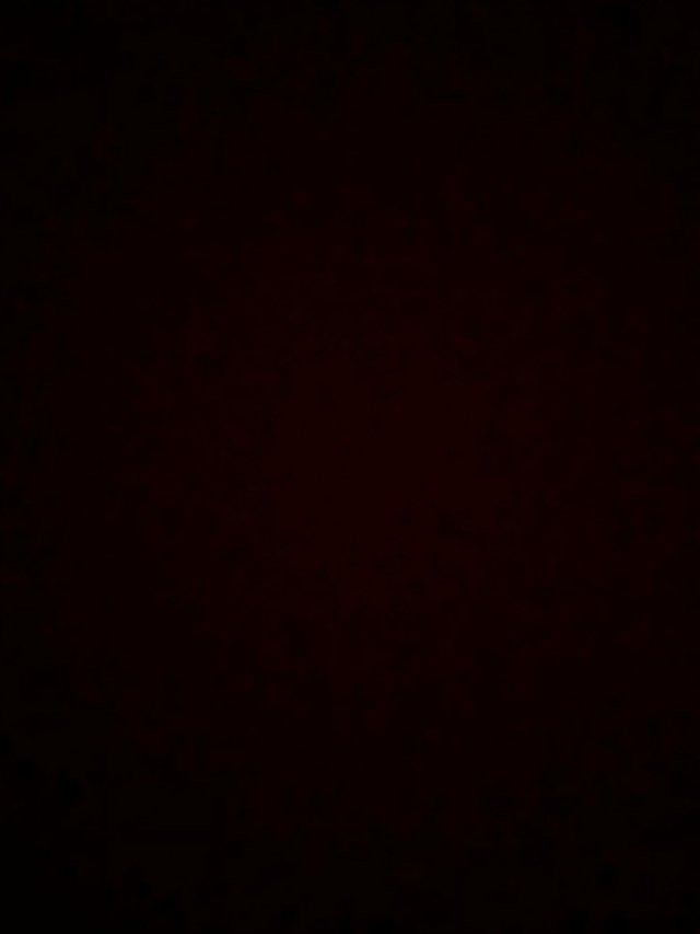 5B381CF0-DD20-4174-8D8F-50DB04E64EFF.jpeg