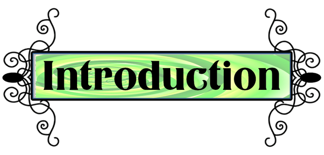 Introduction-862x414-2-862x414-min-862x414.png