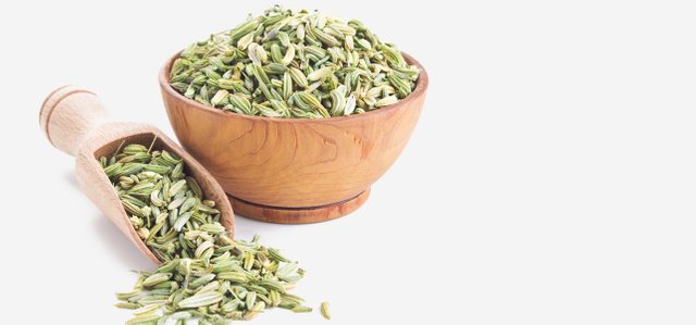 Fennel seeds.jpg