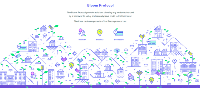 Bloom protocol header.png