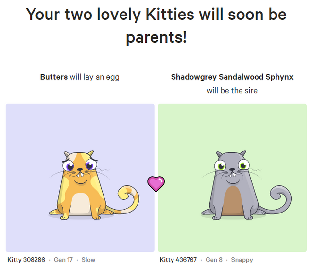 kittylitter1.png
