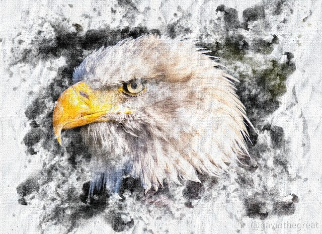 Eagle Watercolor.jpg