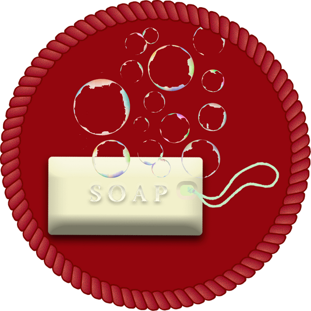 SoapCoinLogo.png