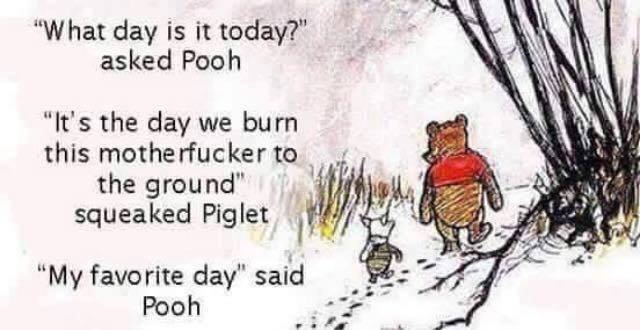 pooh burn to the ground.jpg