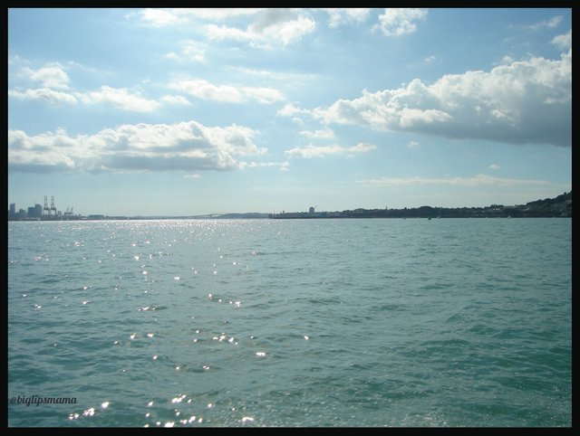 auckland sea4.jpg