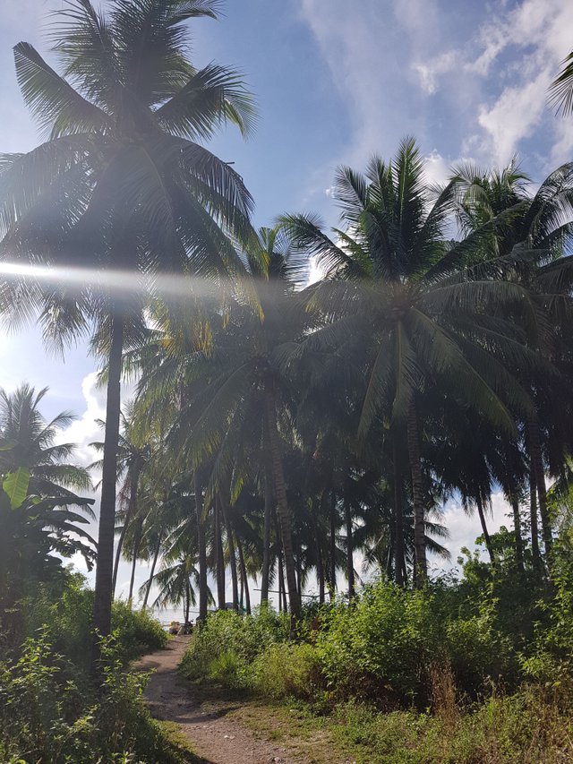 20180520_072816.jpg