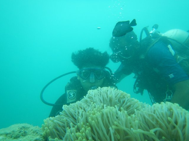 DSCN9447.JPG