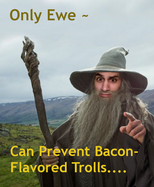 Stewards of Gondor - only EWE can Prevent Bacon Flavored Trolls.png