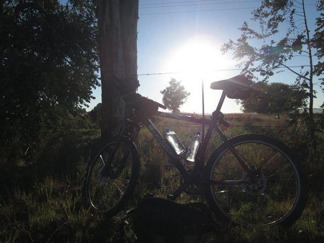 Bike backilit by Dawn outside Heidelberg.JPG