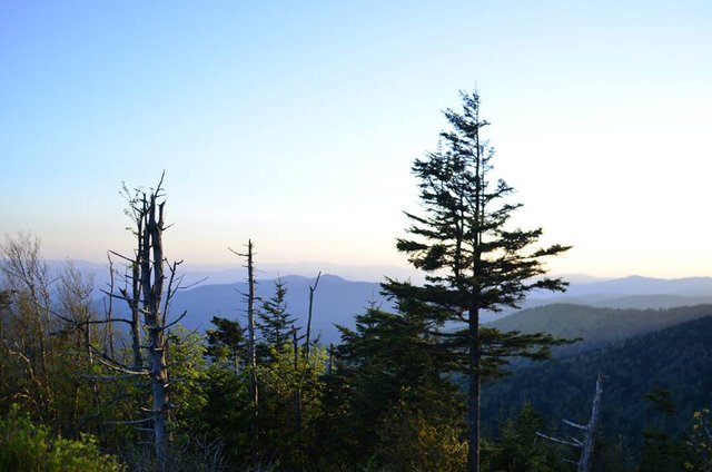 Great Smoky Mountains National Park.10.jpg