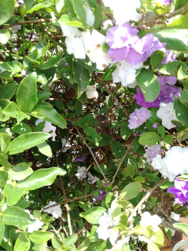 IMG_20171003_111549.jpg