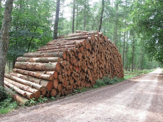 holz640px.jpg