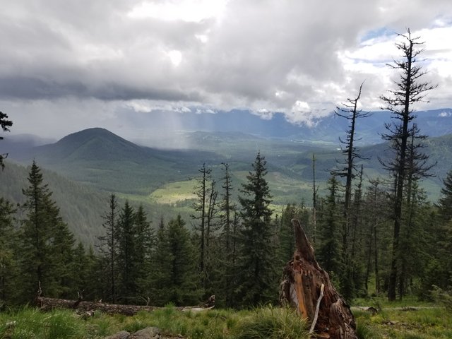 20170610_130307.jpg