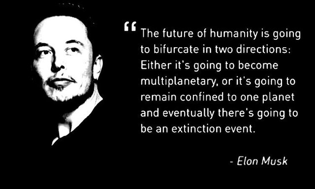 elon-musk-quote1.jpg