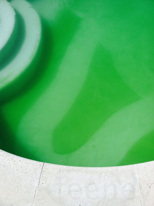 ColorChallenge Thursday Green Pool.jpg