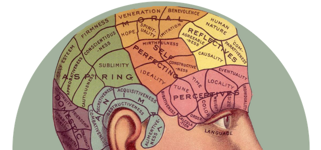 brain.png
