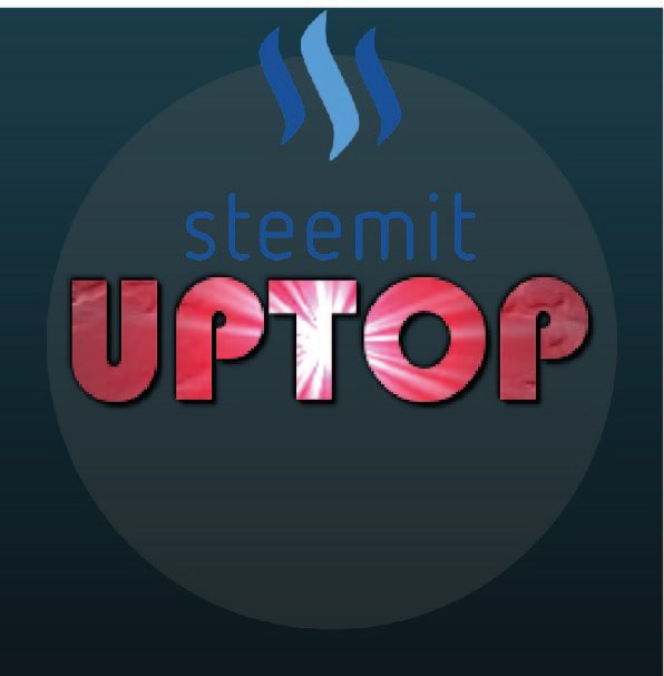 logo_uptop_1.1.jpg