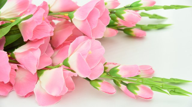 beautiful-beautiful-flowers-bloom-695688.jpg