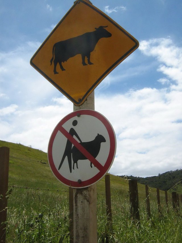 No-Sex-With-Sheep-Sign.jpg