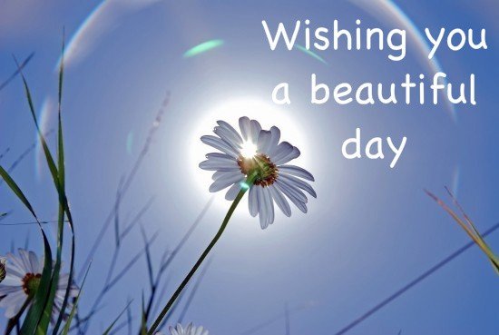 Wishing-you-a-beautiful-day.jpg